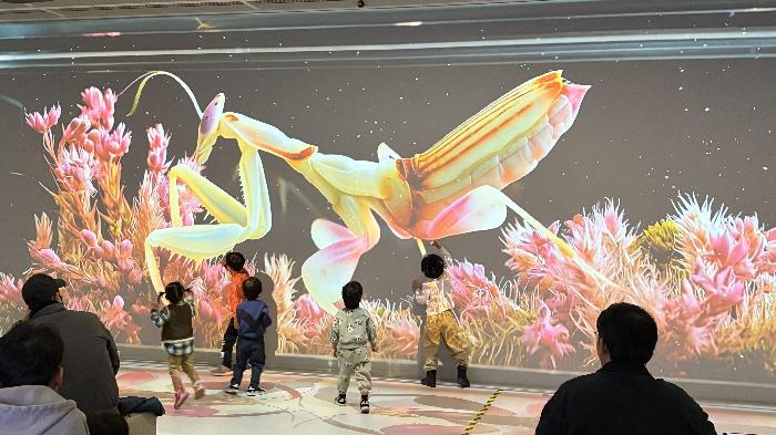 2025년 12월 프로그램